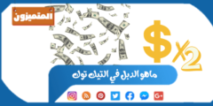 ماهو الدبل في التيك توك