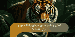 اختبر مشاعرك: أي حيوان يكشف عن ما يثير غضبك؟